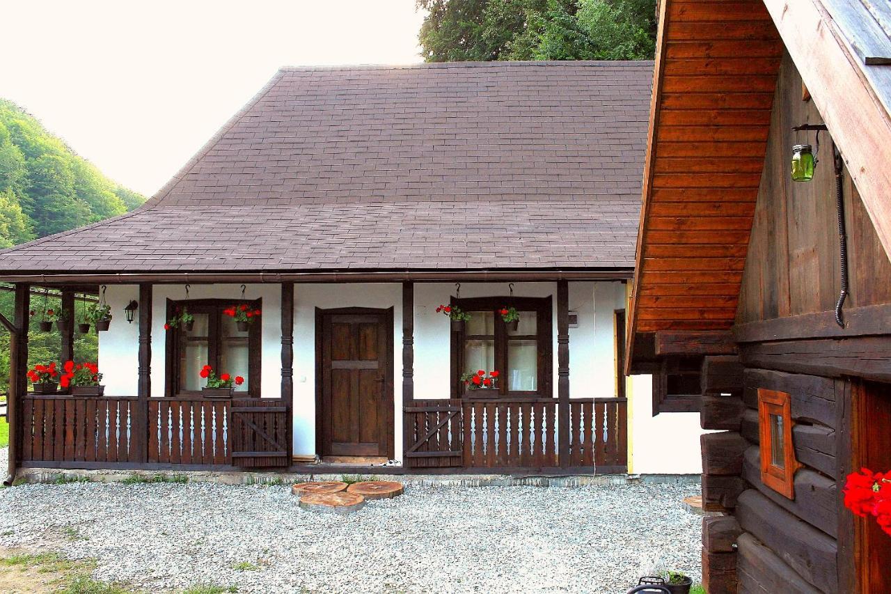 Gradistea de Munte Casuta Din Valea Regilor 빌라 외부 사진