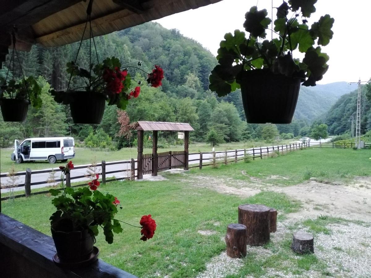 Gradistea de Munte Casuta Din Valea Regilor 빌라 외부 사진