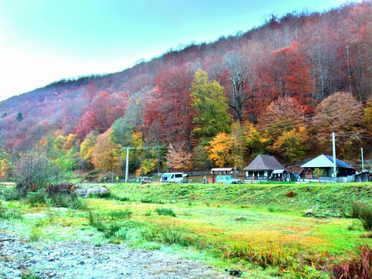 Gradistea de Munte Casuta Din Valea Regilor 빌라 외부 사진