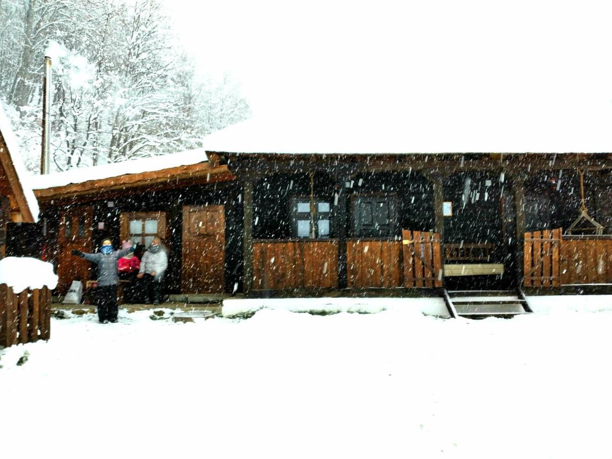 Gradistea de Munte Casuta Din Valea Regilor 빌라 외부 사진